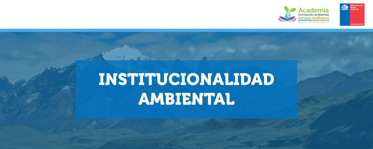 Curso Institucionalidad Ambiental